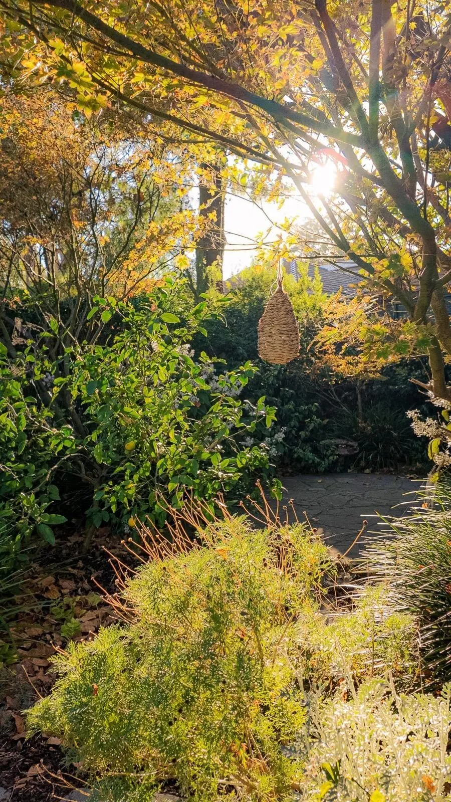 Outdoor building project