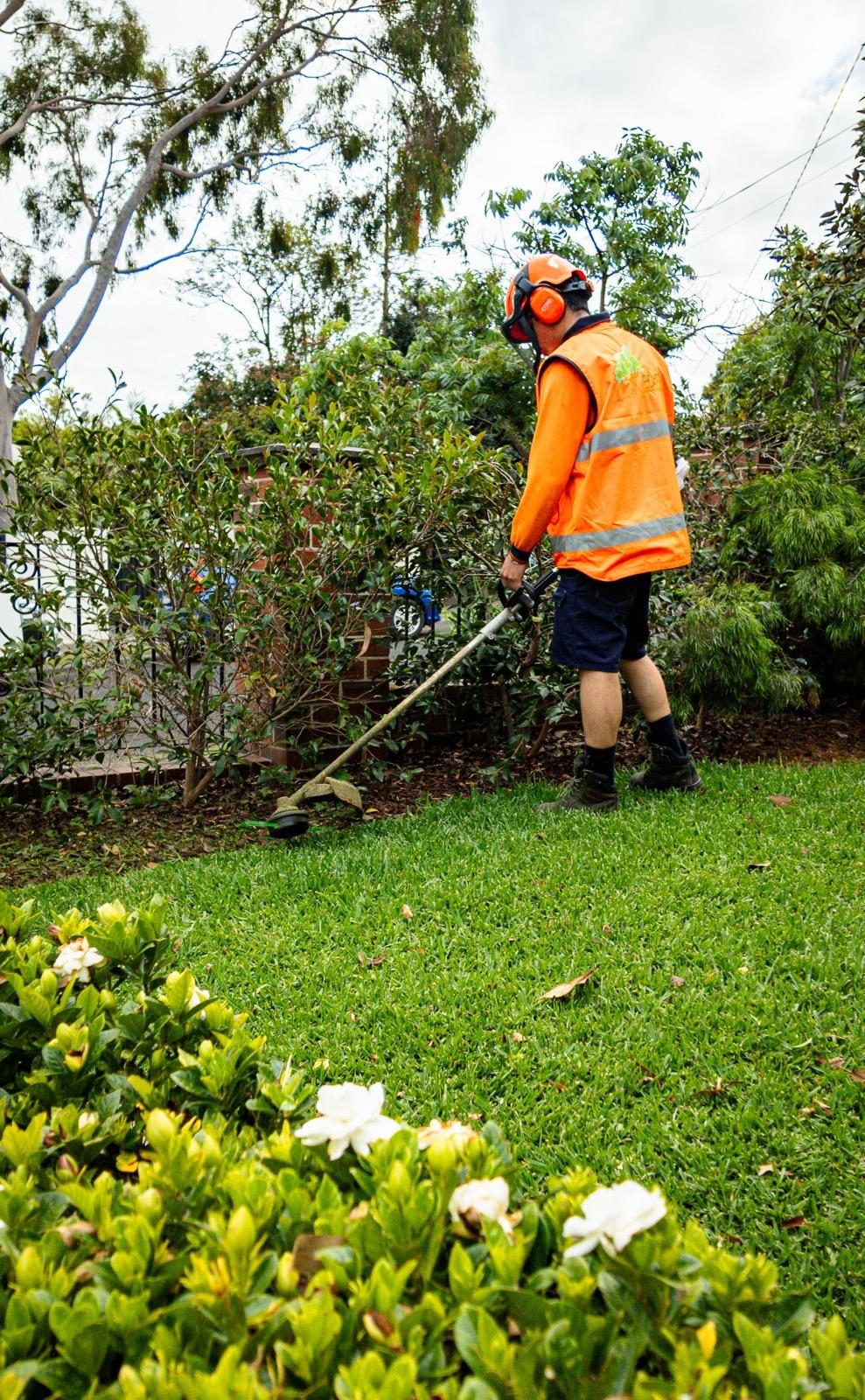 Garden maintenance work