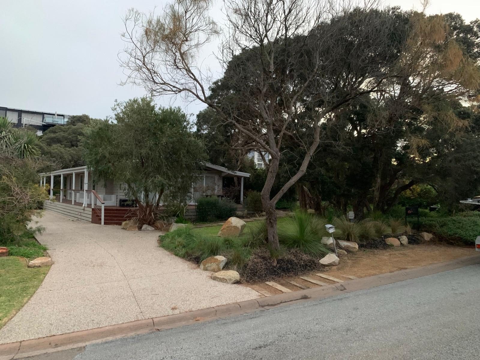 Landscape construction in progress