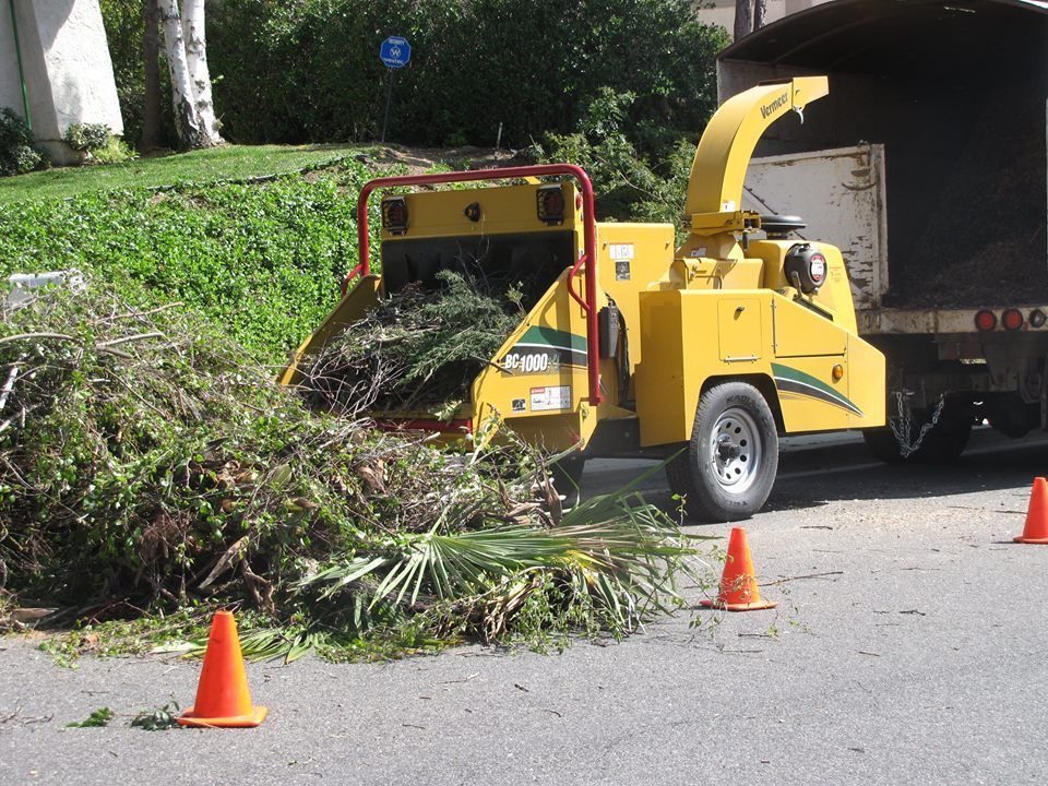 Professional tree work and removal work